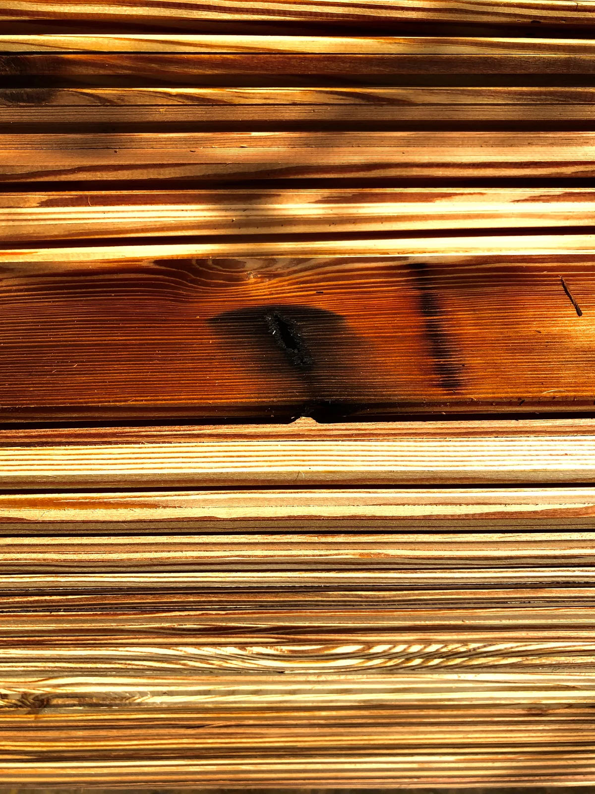 Heart pine boards glowing gold with raking light along the grain