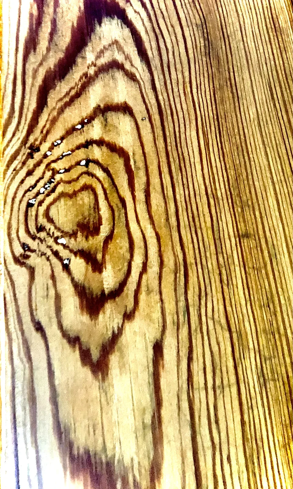 Swirling concentric grain figure filling a single board