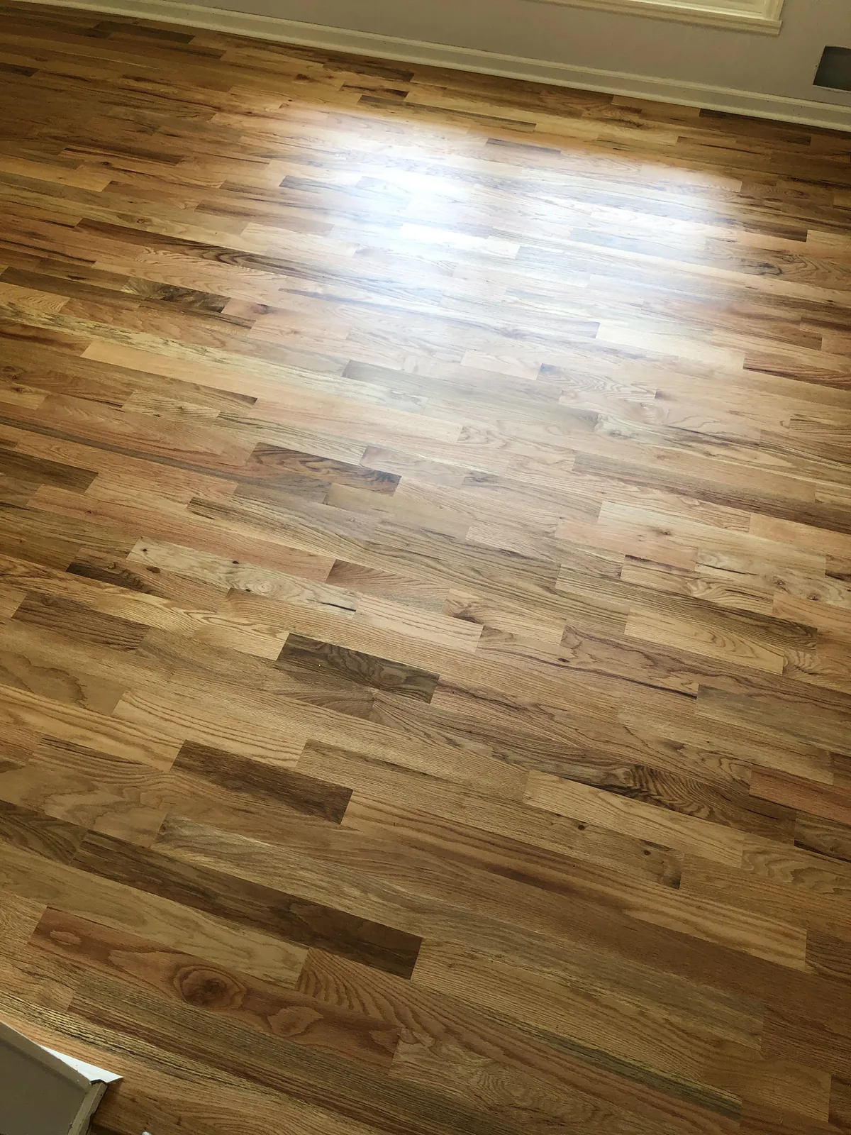 Light oak floor catching soft window light