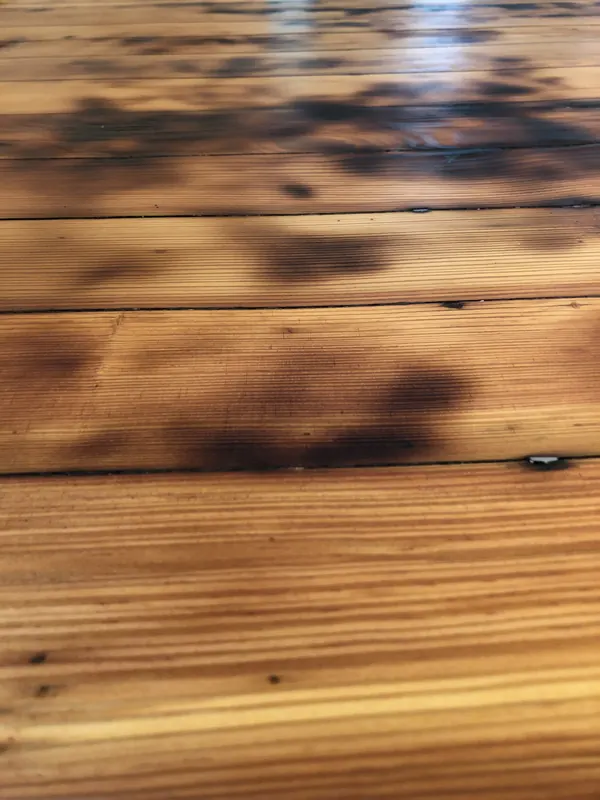Sunlight and leaf shadow falling across warm heart pine boards