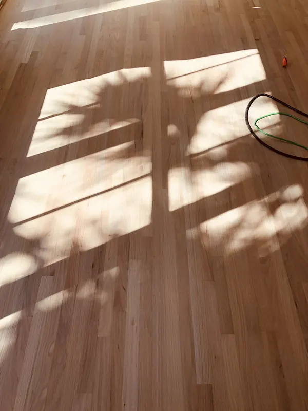 Sunlight and window shadow falling over pale floorboards