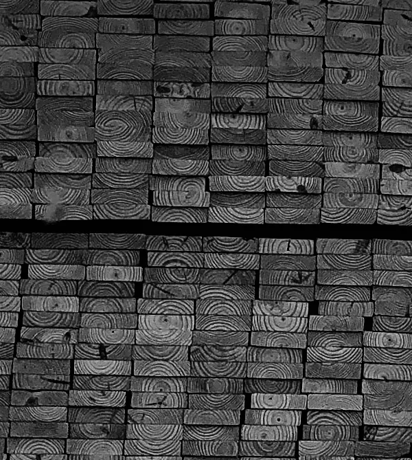 Black and white end-grain wood blocks showing growth rings