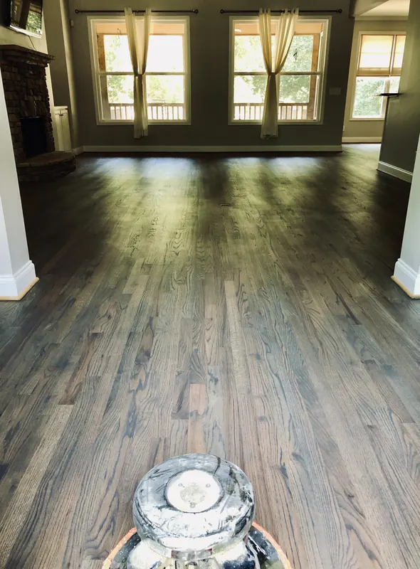 Sander in a wide room with tall windows and dark boards