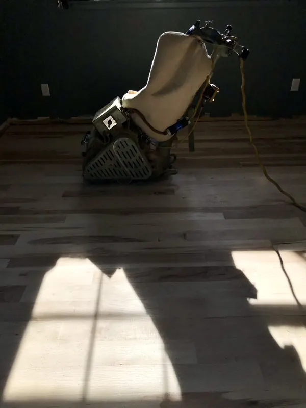 Sander on a dark floor with daylight spilling through a doorway