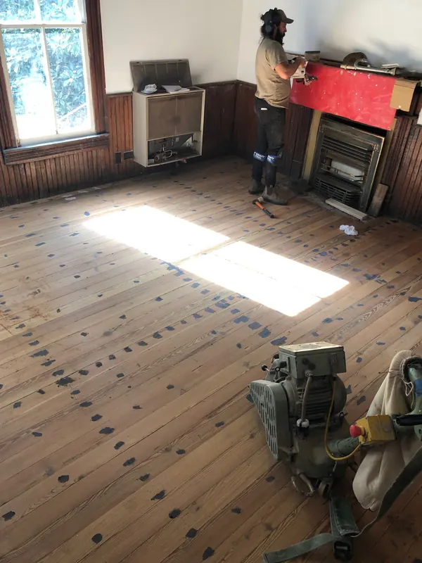 Sander beside a brick fireplace with sun patches on the floor
