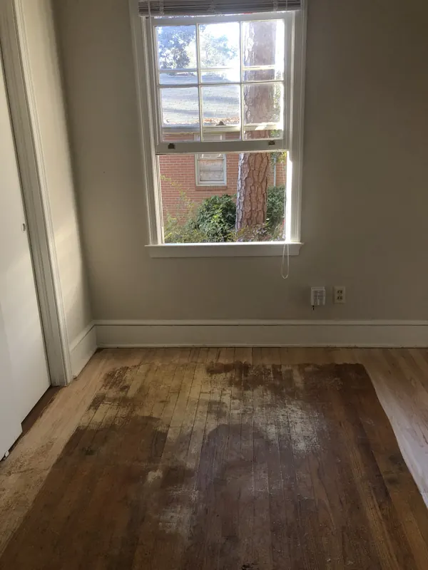 Dark water-damaged floorboards under a bright window