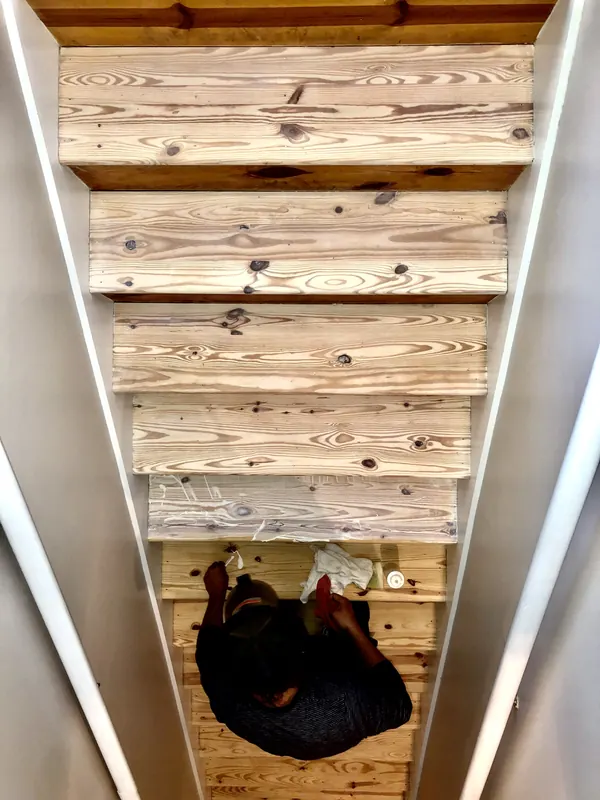 Cat looking down from between exposed pine ceiling joists