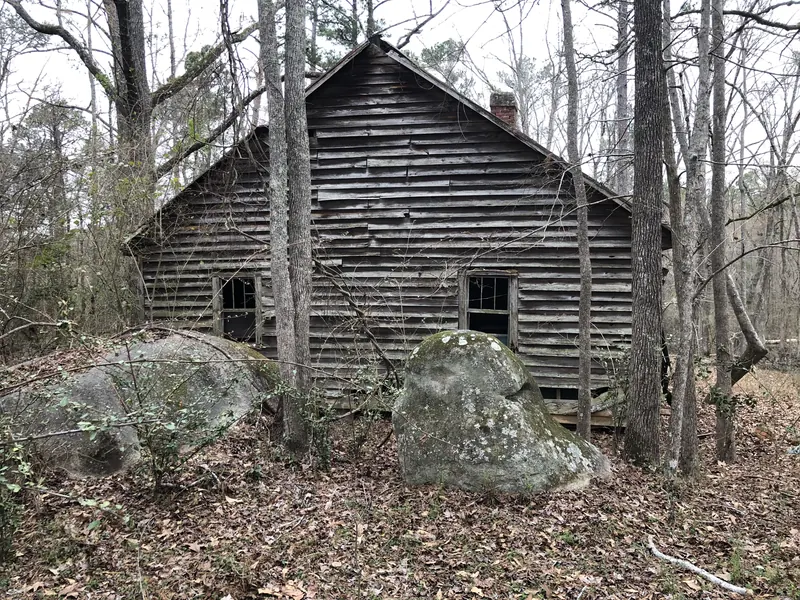 Weathered log cabin standing in bare winter woods